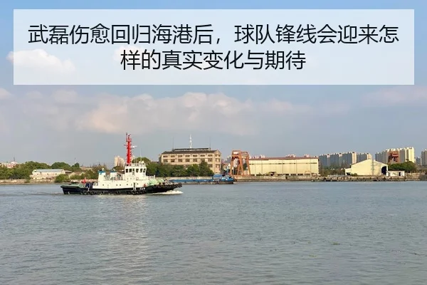武磊伤愈回归海港后，球队锋线会迎来怎样的真实变化与期待